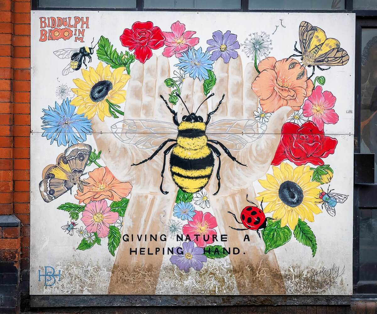 biddulph in bloom mural biddulph in bloom
