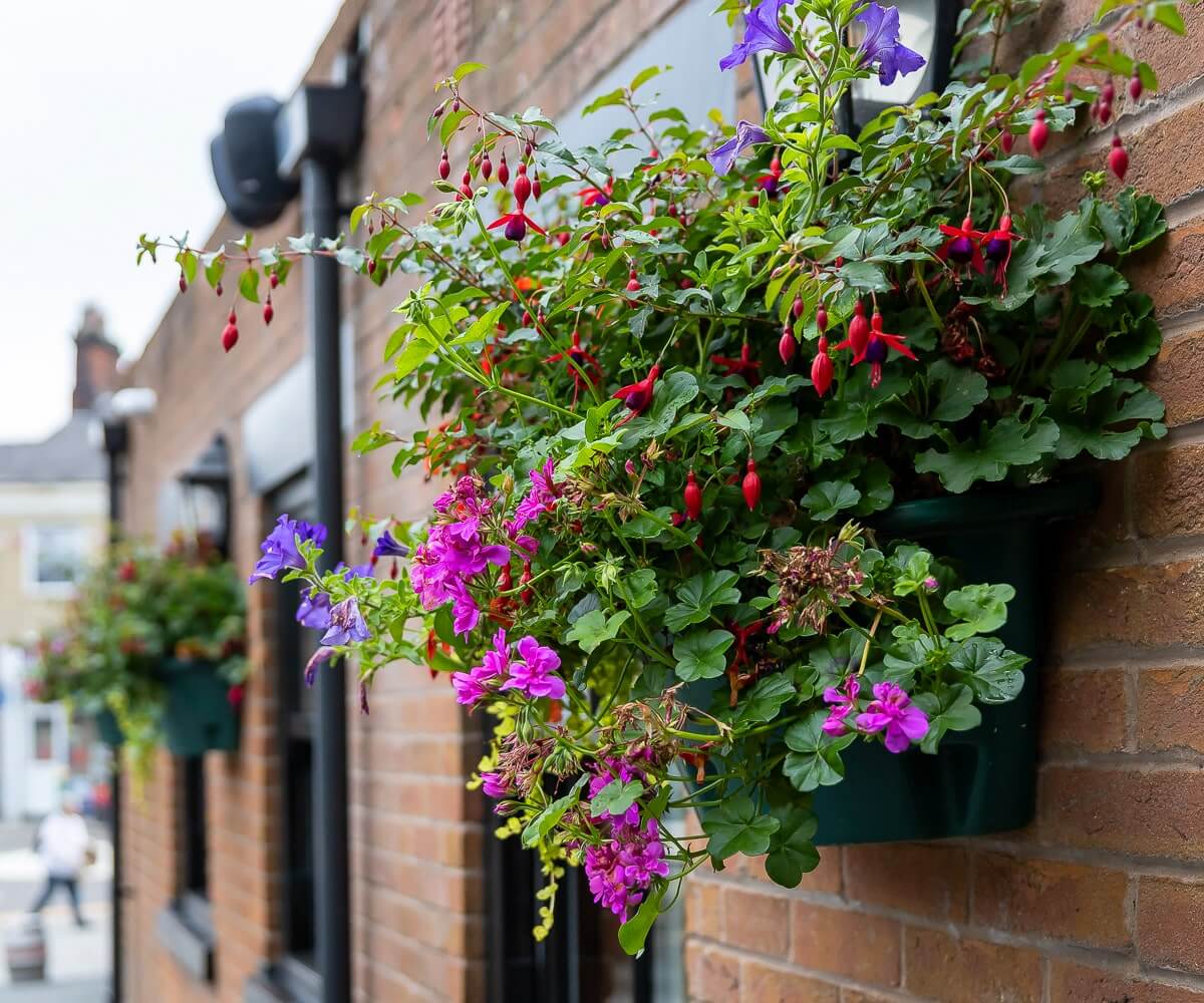 royal oak biddulph 2 royal oak biddulph